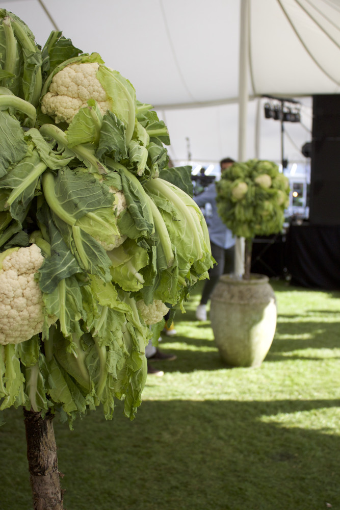 Cauliflower Trees