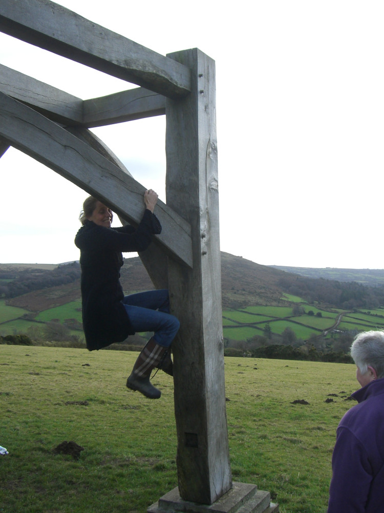 Not good at climbing onto a chair