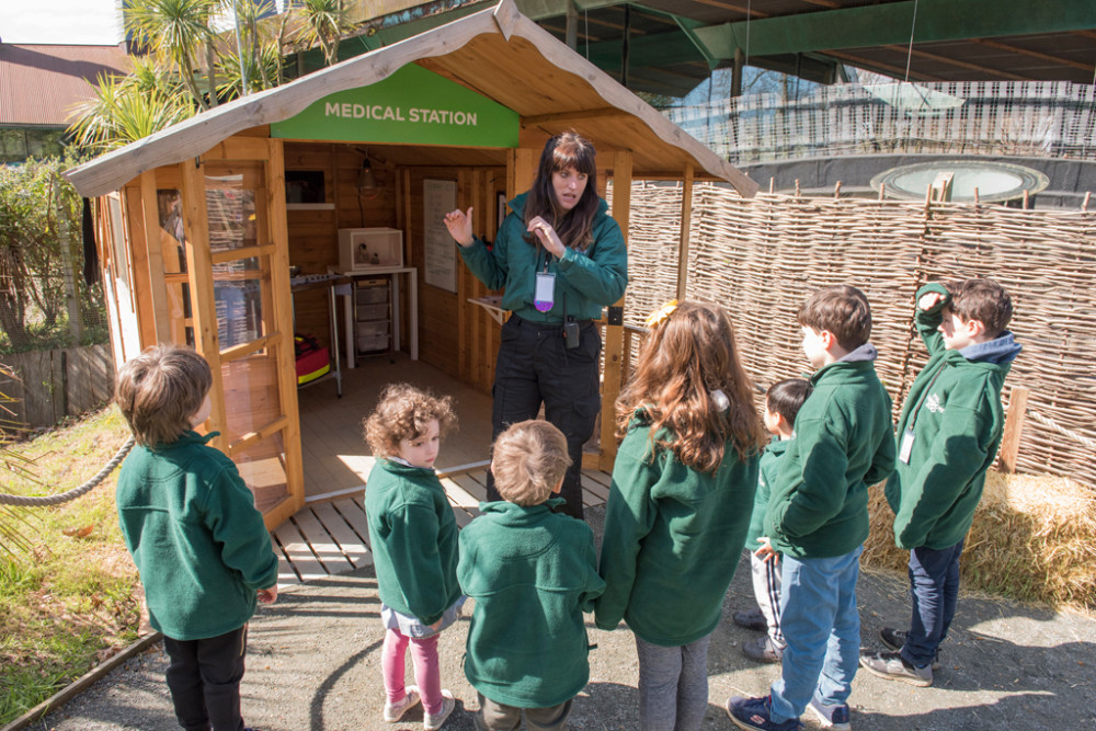 Food, Kitchen Prep, Enrichment, Medical and Cleaning duties were all explored