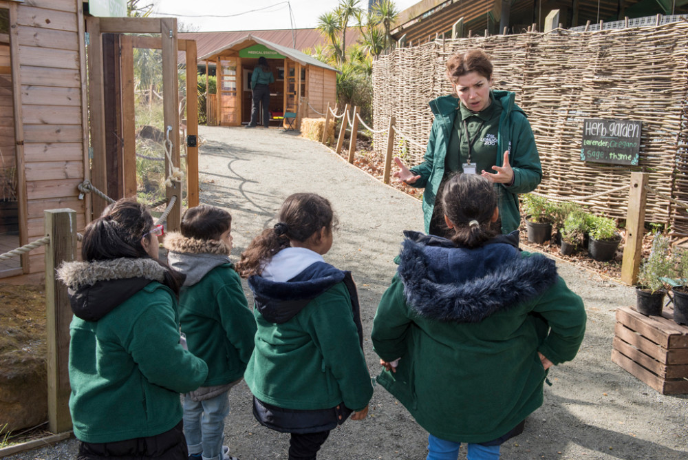 Groups of up to 20 children visited 5 activity stations