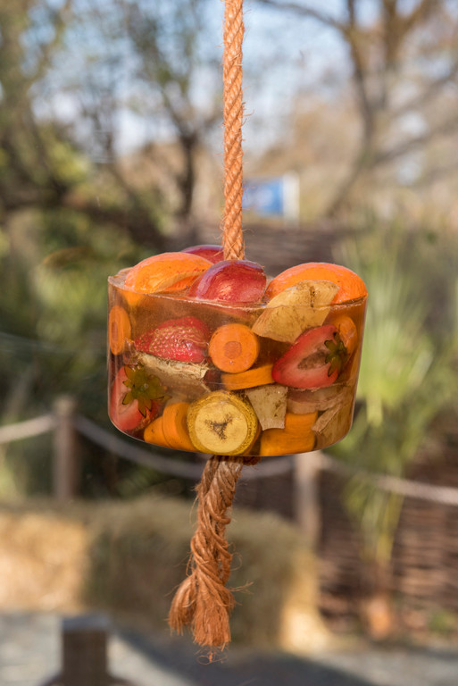 A replica Giraffe Ice Lolly prop